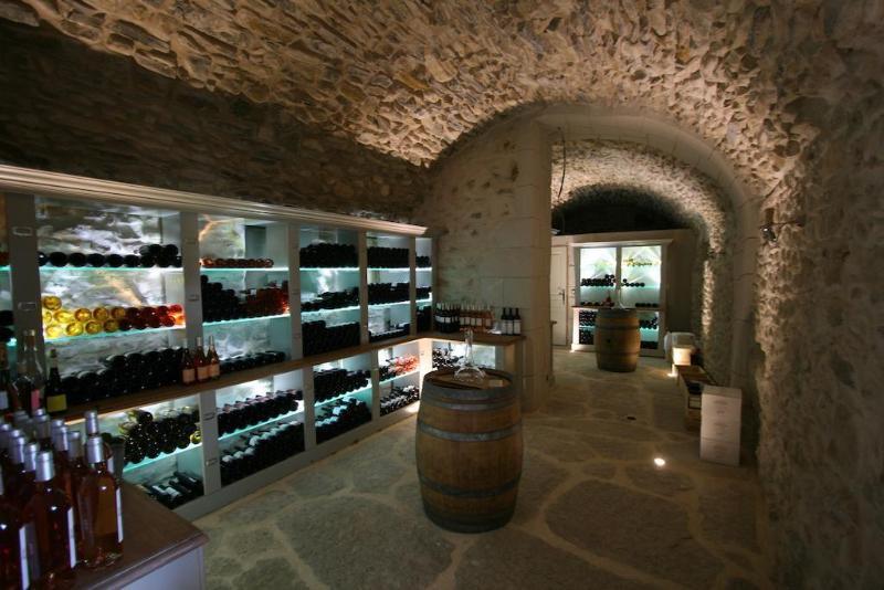 Chateau Les Oliviers De Salettes Charols Dış mekan fotoğraf